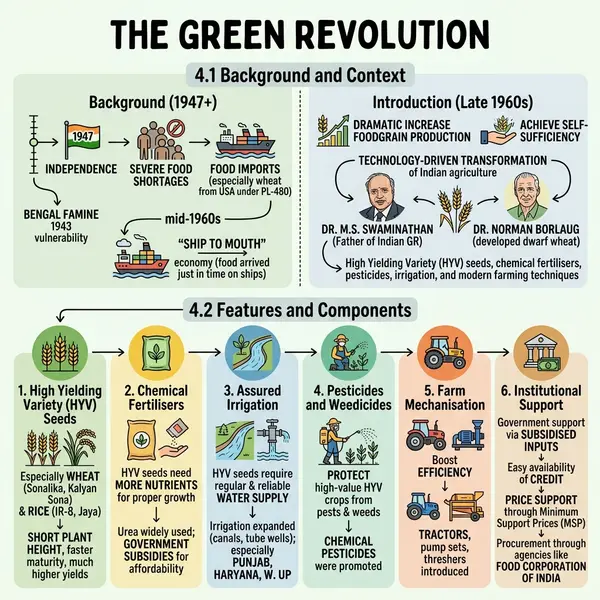 Sketchnote infographic of India's Green Revolution: the 1947 food-shortage background and the six components — HYV seeds, chemical fertilisers, assured irrigation, pesticides, farm mechanisation and institutional support.