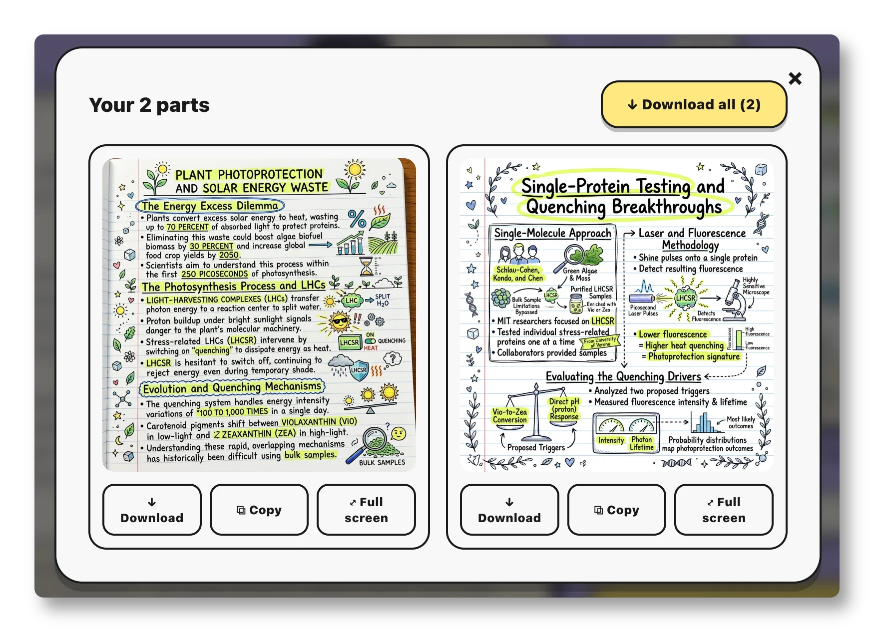 Each section becomes its own sketchnote, with download and copy actions